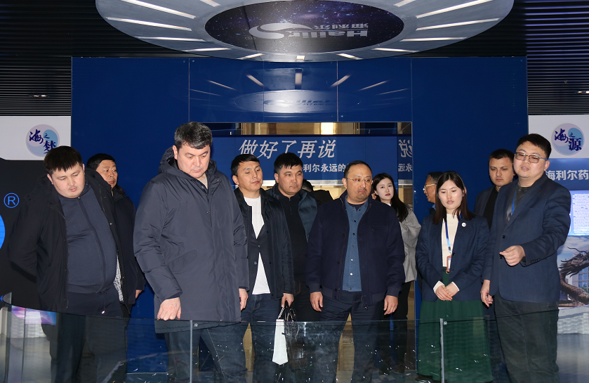 The Deputy Governor of Turkstan State of Kazakhstan came to Hailir for a visit