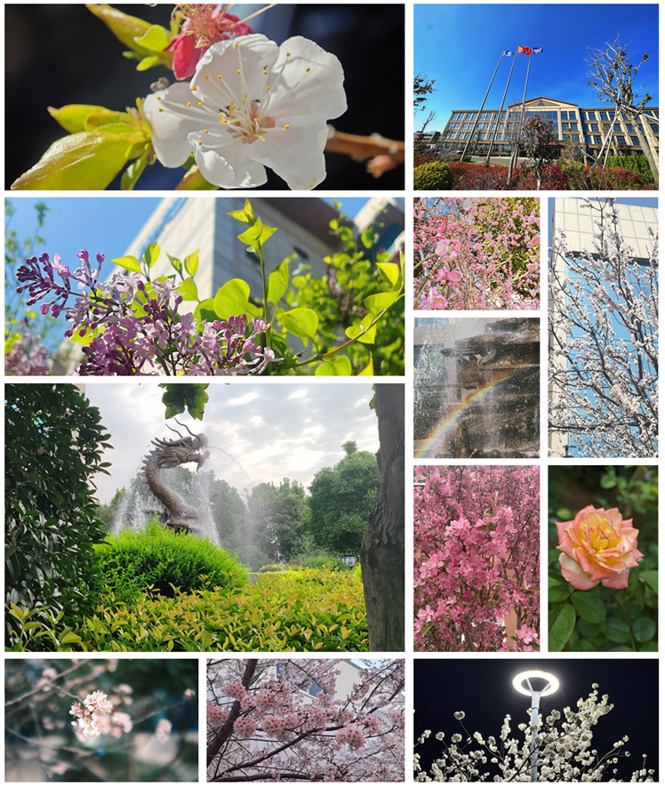 定格精彩 追寻美好——赏金国际员工美拍活动落地