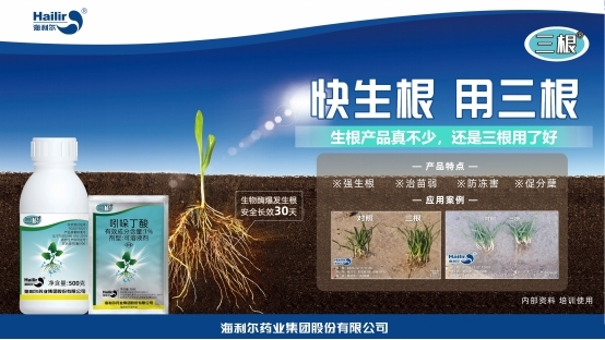 告别粗暴 转向协调——赏金国际重新定义生根技术