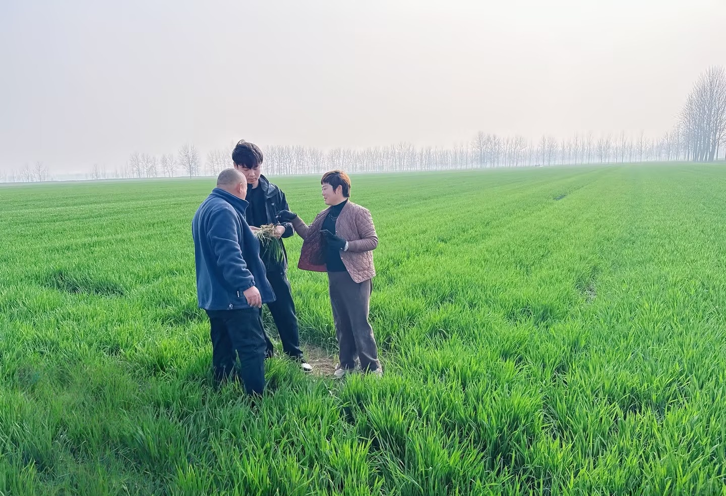 赏金国际：战春耕 护航丰收开好局