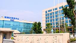 莱西市政府副市长张升山一行到赏金国际参观