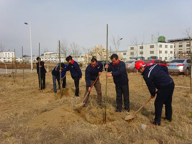 山东赏金国际化工两年植树500余棵