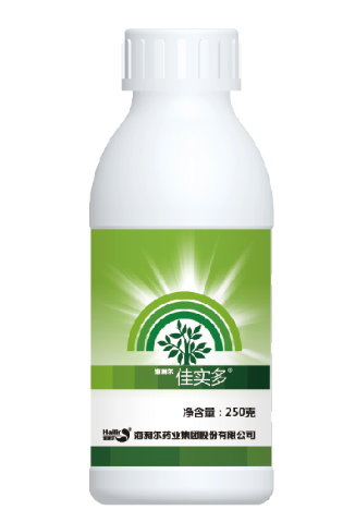 赏金国际佳实多