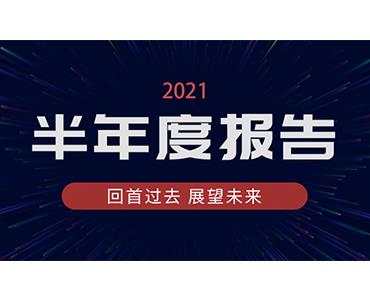 赏金国际药业集团2021年半年度报告