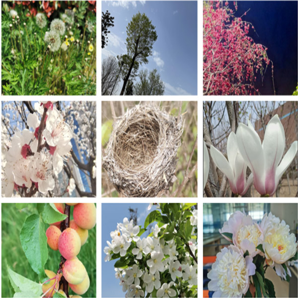 滕润翔“向上的力量，怒放的生命”主题活动落地  